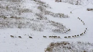 Бурилар Тудаси Сири