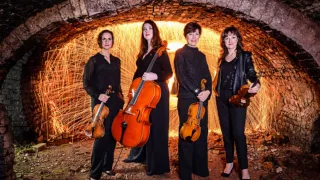 Beauty and the Beast - Taliesin String Quartet Wales