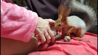 Утро начинается не с кофе... 😁☕🐿 squirrel morning