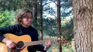 Norwegian Wood - The Beatles (Cover)