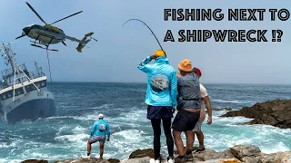 Fishing for sharks off rocky shores in South Africa 🇿🇦// Duvan Fishing Charters