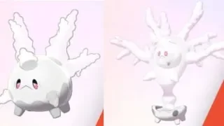 How To Find Galarian Corsola and Evolve It Into Cursola in Pokémon Sword and Shield