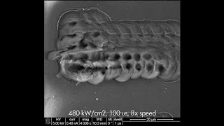 Graphene forms under microscope’s eye