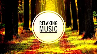 Nature Song - (NoCopyrightMusic)