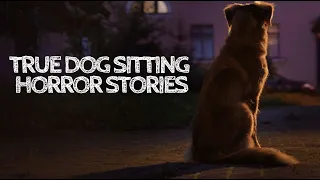 3 True Dog Sitting Horror Stories (With Rain Sounds)