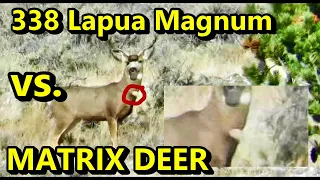Matrix Deer vs. 338 Lapua:  Shockwave or Optical Illusion?