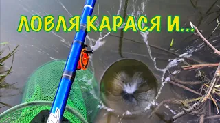 ЛОВЛЯ КАРАСЯ на Новом Водоеме! ГОТОВЛЮ Вегетарианские Бургеры! Рыбалка на карася в сентябре!