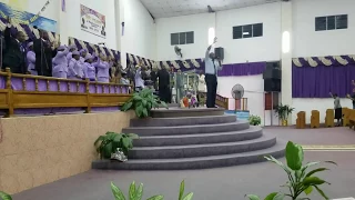 Lord Help Me To Hold Out Apostolic Ark Central District Mass Choir