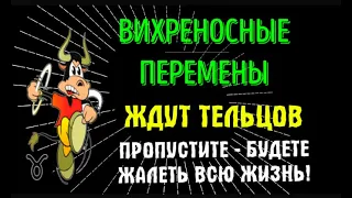 ♉ВИХРЕНОСНЫЕ ПЕРЕМЕНЫ ЖДУТ ТЕЛЬЦОВ! НЕ ПОЖАЛЕЕТЕ!