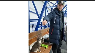Евгений Плющенко и кошка Пуля на тренировке . Котиков любят все 😺 Софья Муравьева, Камилла Нелюбова
