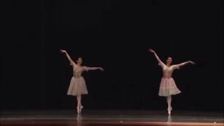 Tales of Betrix Potter inspired Ballet Duet