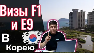 ❗ Возможности визы F1 в Южную Корею || Визы Е9 рабочие. Что с ними.