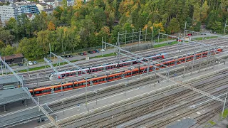 Der Treno Gottardo in Arth-Goldau