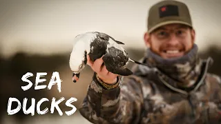 NEW JERSEY SEA DUCK HUNTING S3E3