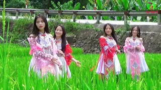 zoo siab yug los yog hmoob - yaj kub team seev cev ( yaj kub tv dance ) nhảy cổ đại 2023🤣