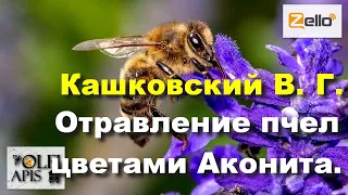 #Кашковский В. Г. Отравление пчел цветами Аконита.
