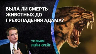 Была ли смерть животных до грехопадения Адама? | Уильям Лейн Крейг