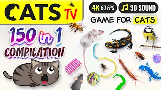 CAT TV - 150 in 1 Ultimate Compilation 🙀🐭🐝  Game for cats 🕚 10 HOURS 4K