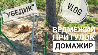 VLOG: Ведмежий притулок Домажир неподалік Львова (екскурсія + лазанка)