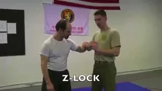 COMBAT HAPKIDO: Joint-Locks