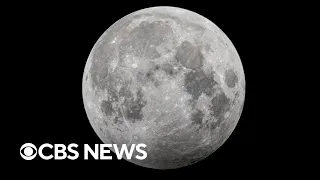 U.S. company achieves first American moon landing since 1972