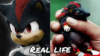 NEW SONIC MOVIE 3 Characters in Real Life 2023 💥