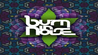 Burn in Noise -  Live Set Origin Festival (2019)