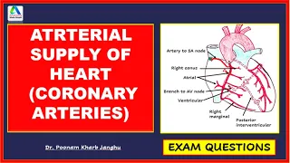 Arterial supply of heart | Coronary arteries | Blood supply of heart| [Simplest]