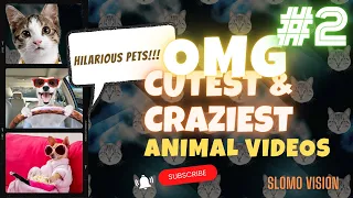 OMG! 😱 Cutest & Craziest Animal Fails of 2024 You Won't Believe #2