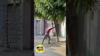 este árbol te puede dar dinero ?   (  el arbol  magico #3 💸 💦😂)