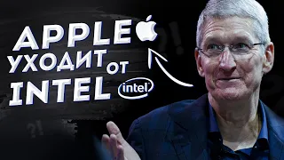 Почему Apple отказались от Intel, как Adobe игнорят Linux и чего ждать от AMD, Nvidia и Intel