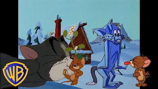 Tom y Jerry en Latino | Amienemigos congelados ❄️ | Travesuras festivas |  @WBKidsLatino