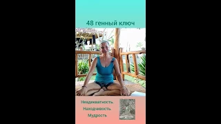 48 ГЕННЫЙ КЛЮЧ. Копилка опыта Души. Как ее открыть?