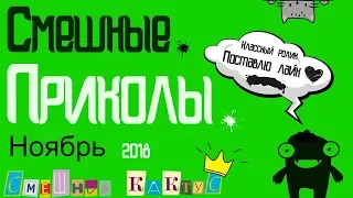 САМЫЕ ЛУЧШИЕ ПРИКОЛЫ | НОЯБРЬ 2018 #3