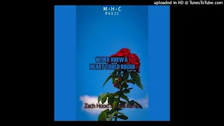 NEVER KNEW A HEART COULD BREAK (Junkii Remiix) -Zach Hood x Junkii MHC Remiix |AFRO CHILL 2022