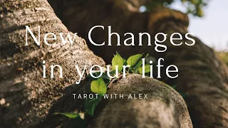 Cuộc sống của bạn sắp tới sẽ thay đổi như thế nào ? - timeless | tarot