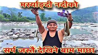 Himalayan River fish Eel | fishing  at marsyandi river | Bikash Rana | Aanbu khaireni 🇳🇵