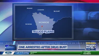 Monroe County drug bust