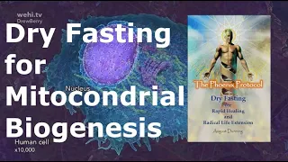 Stimulate mitochondrial biogenesis with dry fasting #life #livetipsandtricks #new