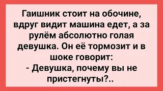 Гаишник Остановил Девушку без Одежды! Сборник Свежих Смешных Жизненных Анекдотов!