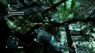 Assassin's Creed IV  Black Flag - Underwater Gameplay