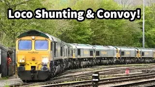 Loco SHUNTING & CONVOY - Freightliner Earles Sidings | Class 66 Sheds