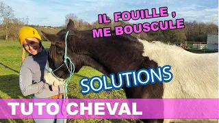 [TUTO CHEVAL] Mon cheval manque de respect à la friandise 😱😱😱