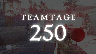 TEAMTAGE 250