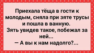 Теща При Зяте Сняла Трусы и Пошла в Ванную! Сборник Свежих Анекдотов! Юмор!