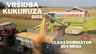 Vrsidba kukuruza 2023 / Corn Harvesting 2023 Combines