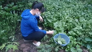 Amidst the greenery, she collects ripe produce, her basket filling quickly