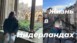 Жизнь в Нидерландах  Беженцы з Украины Война Европа Зарплаты Работа