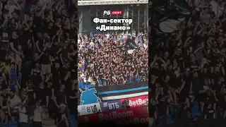 ПОЛНЫЙ ФАН-СЕКТОР ДИНАМО 🔥 #футбол #рпл #динамо #fans #fanid