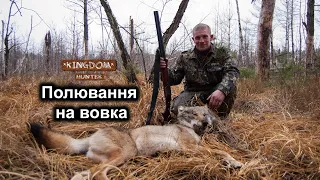 Полювання на вовка